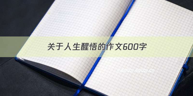 关于人生醒悟的作文600字