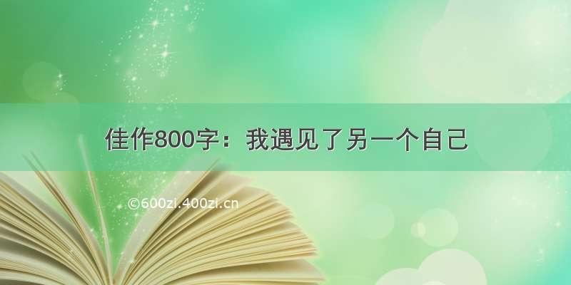 佳作800字：我遇见了另一个自己