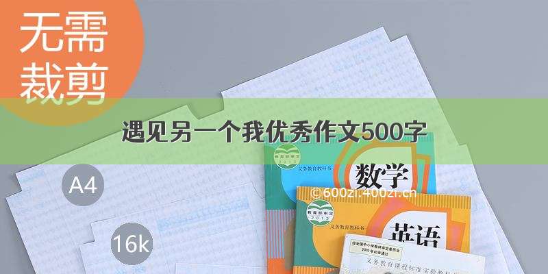 遇见另一个我优秀作文500字