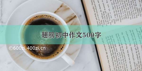 翅膀初中作文500字