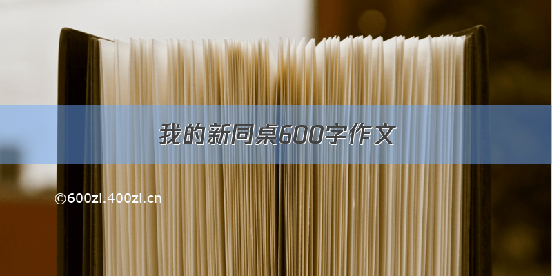 我的新同桌600字作文