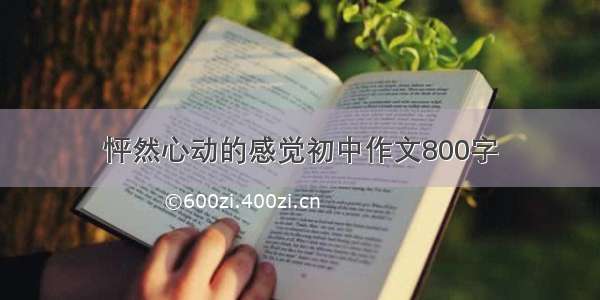 怦然心动的感觉初中作文800字