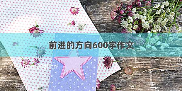 前进的方向600字作文