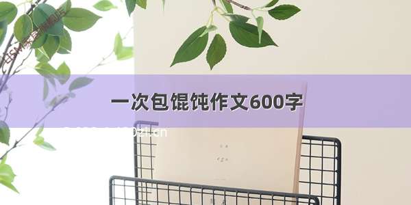 一次包馄饨作文600字