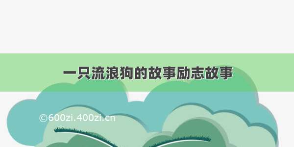 一只流浪狗的故事励志故事