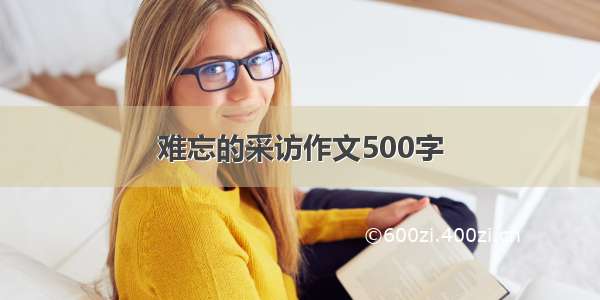 难忘的采访作文500字