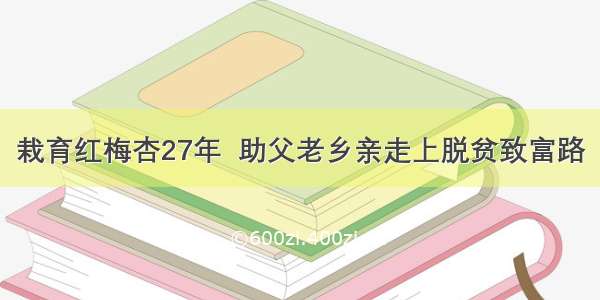 栽育红梅杏27年  助父老乡亲走上脱贫致富路