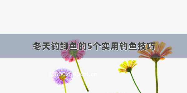 冬天钓鲫鱼的5个实用钓鱼技巧