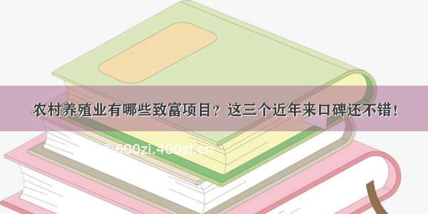 农村养殖业有哪些致富项目？这三个近年来口碑还不错！