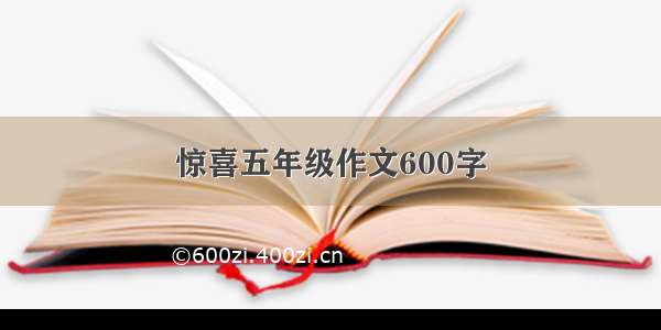 惊喜五年级作文600字