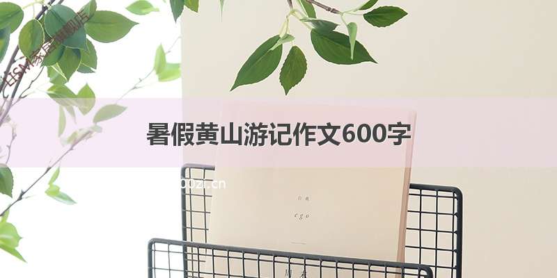 暑假黄山游记作文600字