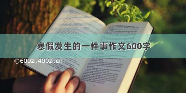 寒假发生的一件事作文600字