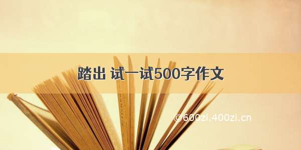 踏出 试一试500字作文