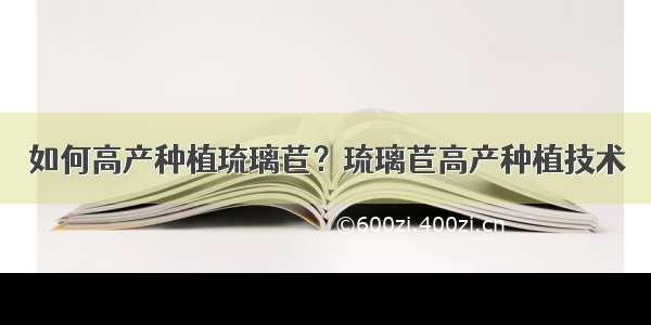 如何高产种植琉璃苣？琉璃苣高产种植技术