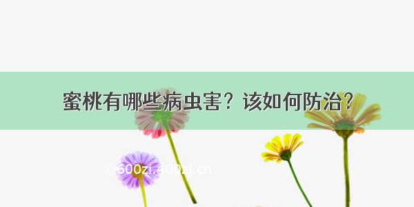 蜜桃有哪些病虫害？该如何防治？