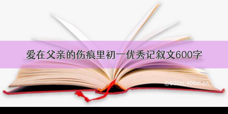 爱在父亲的伤痕里初一优秀记叙文600字