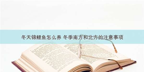 冬天锦鲤鱼怎么养 冬季南方和北方的注意事项