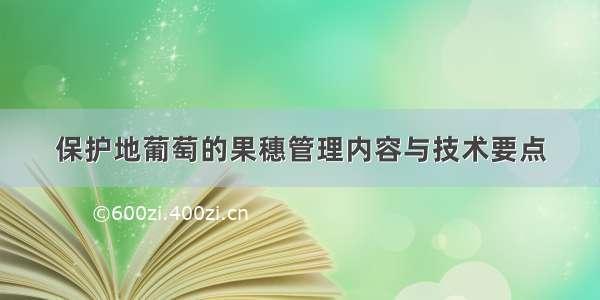 保护地葡萄的果穗管理内容与技术要点