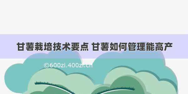 甘薯栽培技术要点 甘薯如何管理能高产