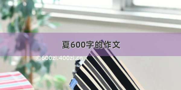 夏600字的作文