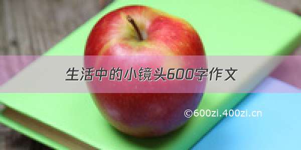 生活中的小镜头600字作文