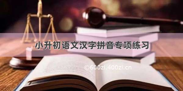 小升初语文汉字拼音专项练习