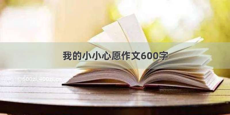 我的小小心愿作文600字