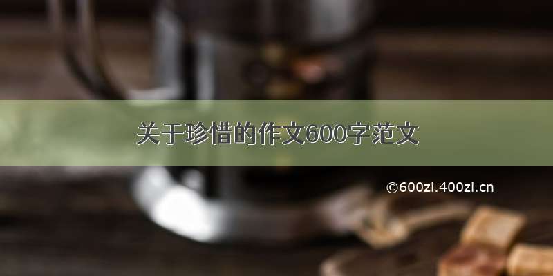 关于珍惜的作文600字范文