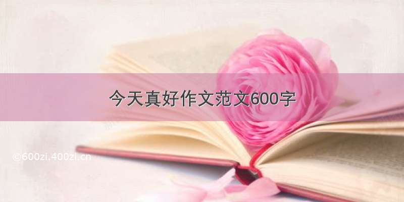 今天真好作文范文600字