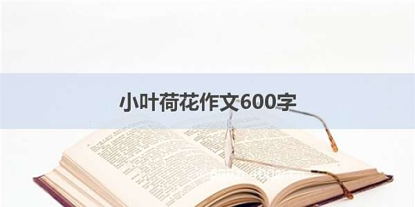 小叶荷花作文600字