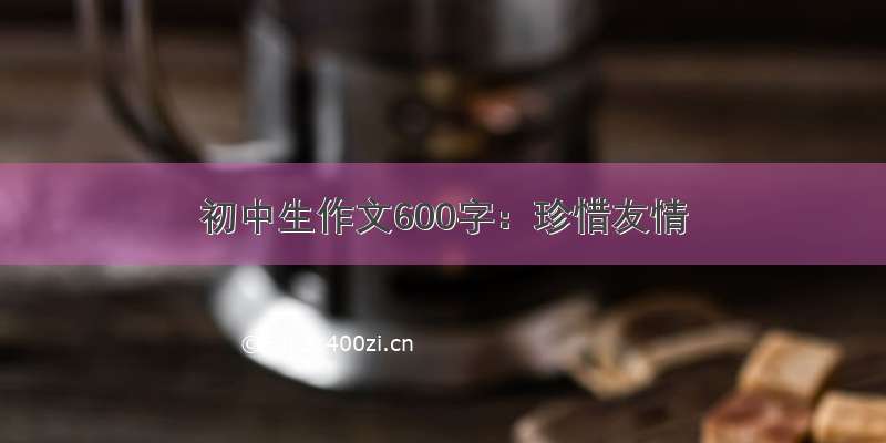 初中生作文600字：珍惜友情