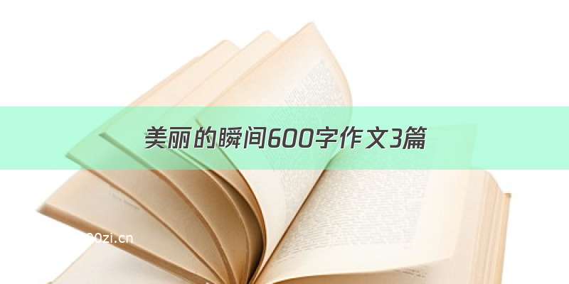 美丽的瞬间600字作文3篇