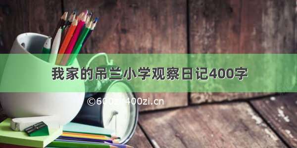 我家的吊兰小学观察日记400字