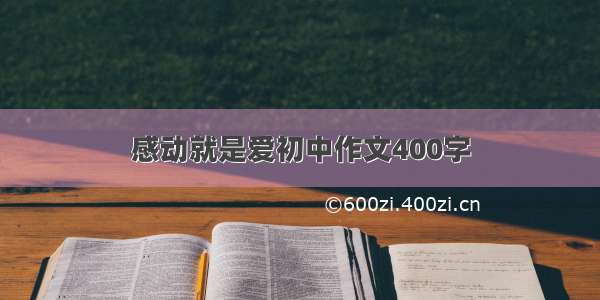 感动就是爱初中作文400字