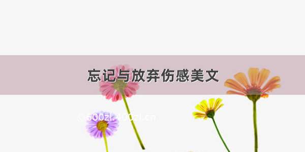 忘记与放弃伤感美文