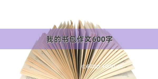 我的书包作文600字