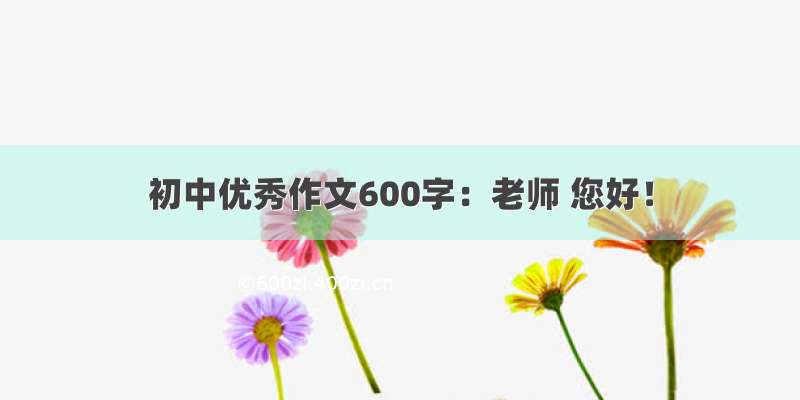 初中优秀作文600字：老师 您好！