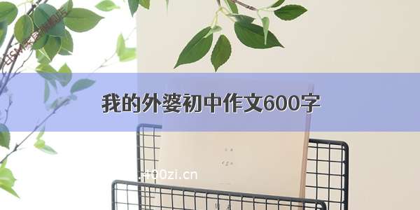 我的外婆初中作文600字