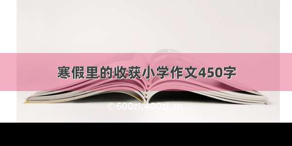 寒假里的收获小学作文450字