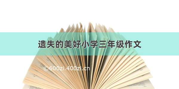 遗失的美好小学三年级作文