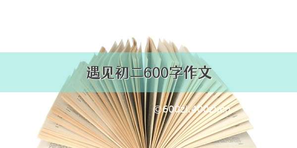 遇见初二600字作文