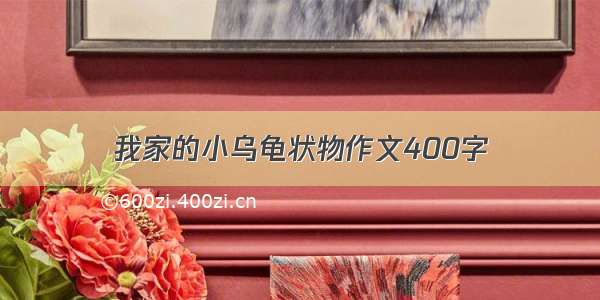 我家的小乌龟状物作文400字