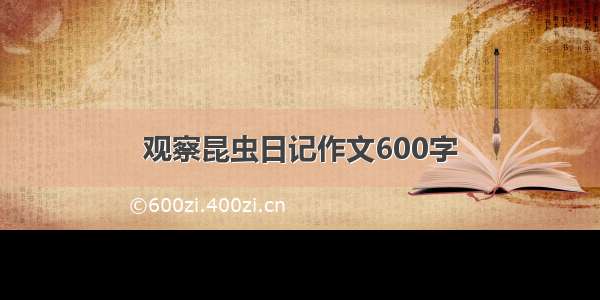 观察昆虫日记作文600字