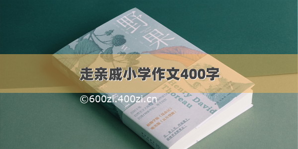 走亲戚小学作文400字