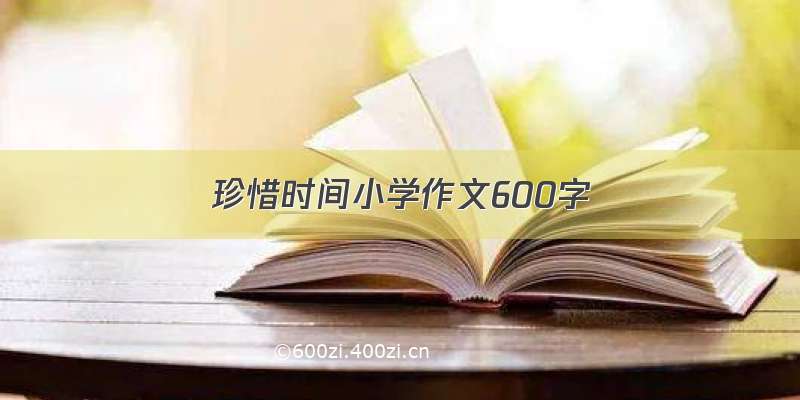 珍惜时间小学作文600字