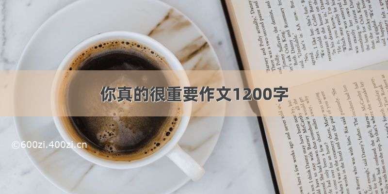 你真的很重要作文1200字