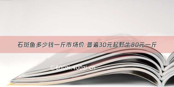 石斑鱼多少钱一斤市场价 普遍30元起野生80元一斤