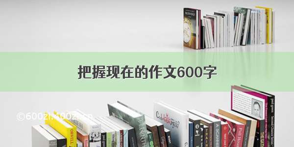 把握现在的作文600字