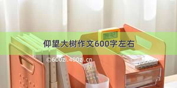 仰望大树作文600字左右