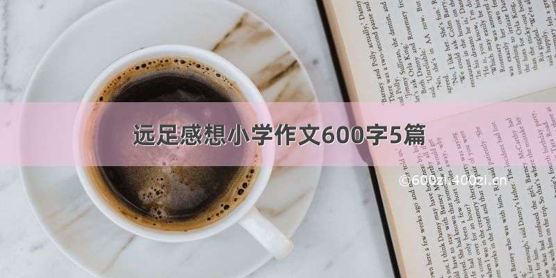 远足感想小学作文600字5篇